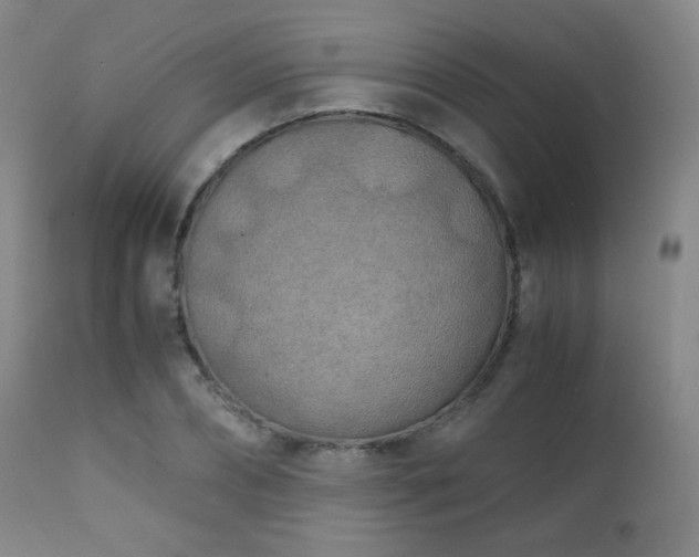 X0000111150882200906301335
