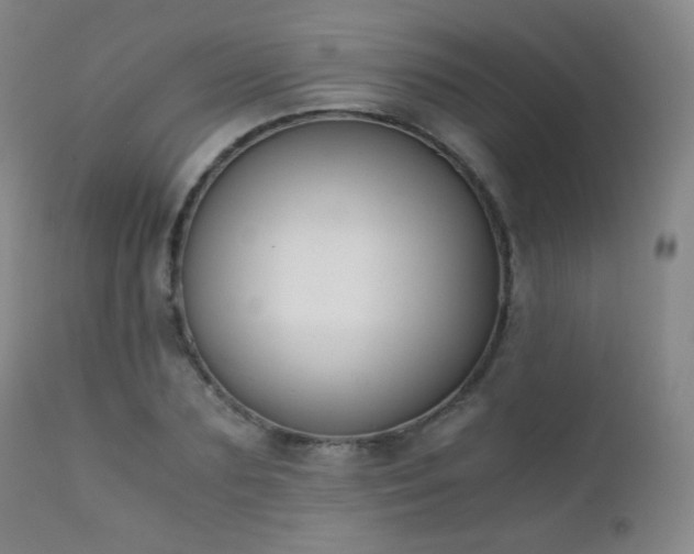 X0000111150883200906301335