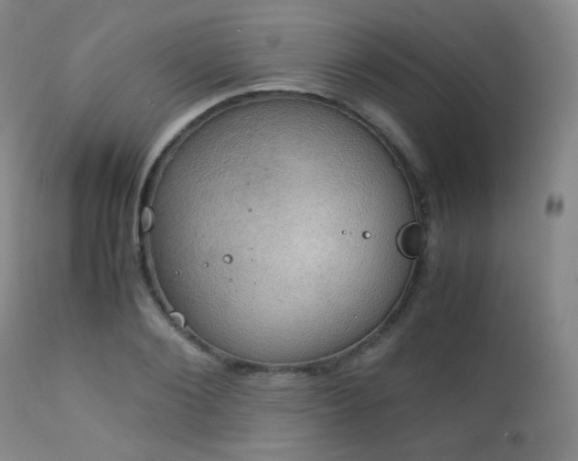 X0000111150884200906301335