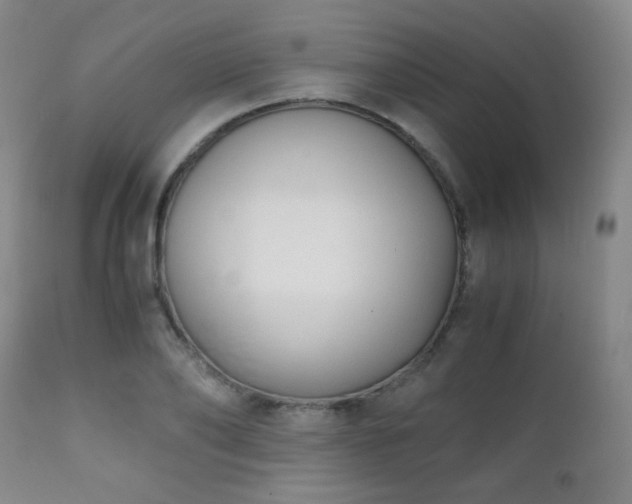X0000111150886200906301335