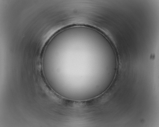 X0000111150887200906301335