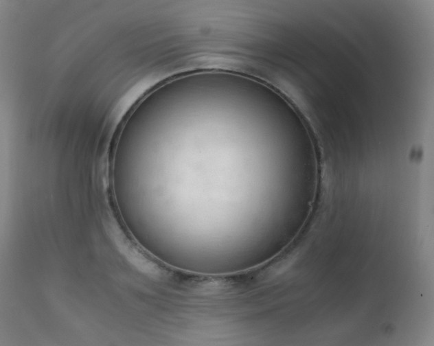 X0000111150891200906301335