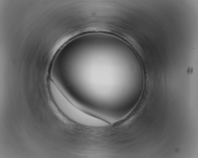 X0000111150893200906301334