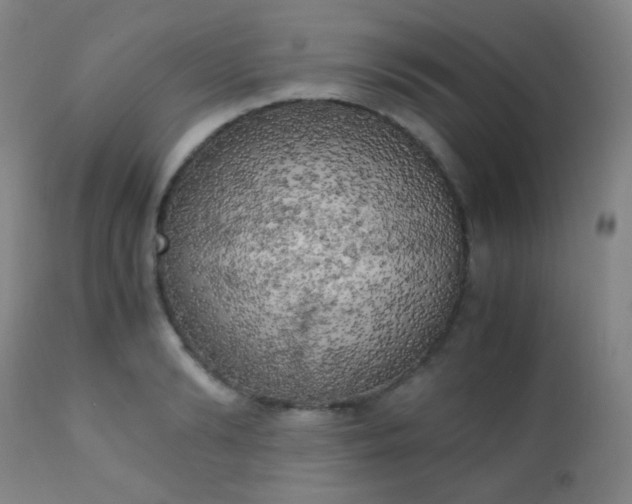X0000111150894200906301334