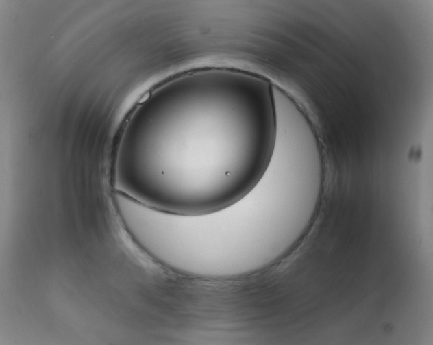 X0000111150896200906301334