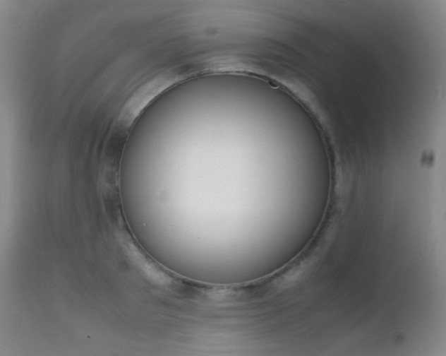 X0000111150897200906301334