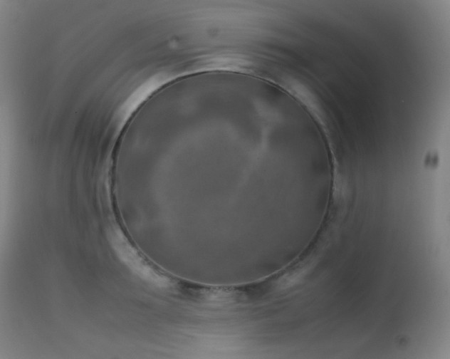 X0000111150899200906301334