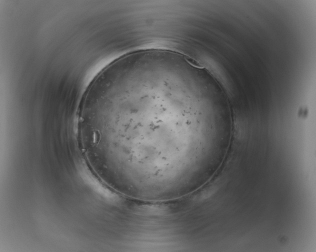 X0000111150900200906301334