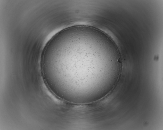 X0000111150902200906301334