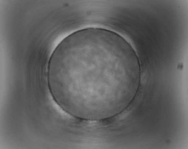X0000111150903200906301334