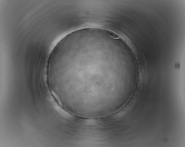 X0000111150904200906301334