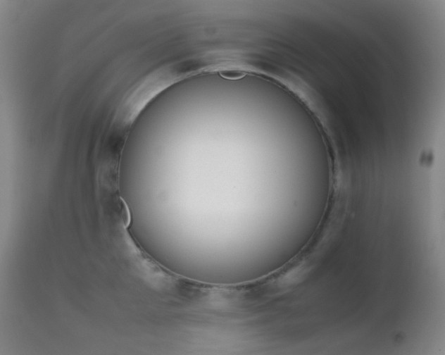 X0000111150905200906301334