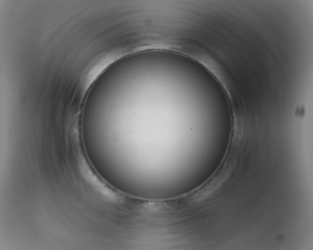 X0000111150906200906301334