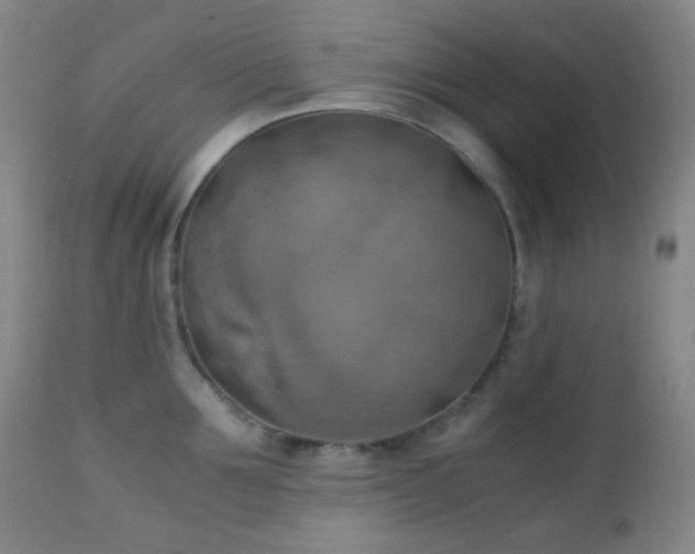 X0000111150907200906301334