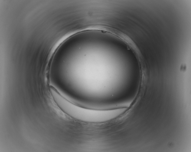 X0000111150908200906301334