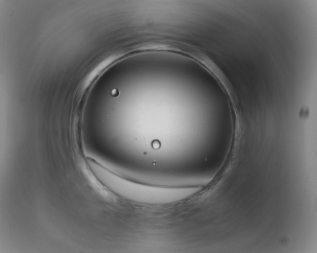 X0000111150909200906301334