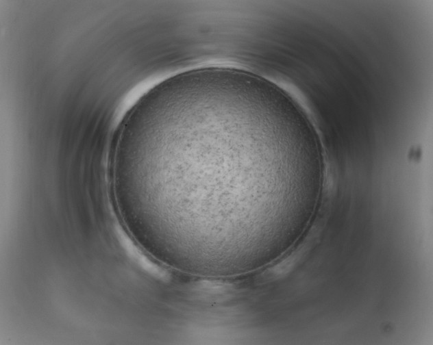 X0000111150910200906301334