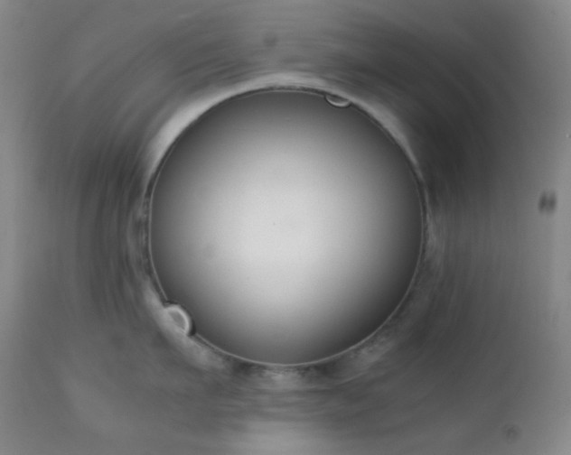 X0000111150911200906301334