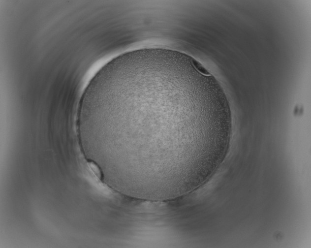 X0000111150912200906301334