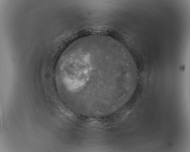 X0000111150913200906301334