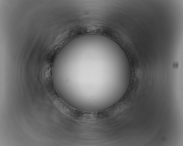 X0000111150914200906301334