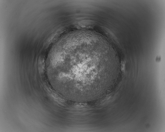 X0000111150915200906301334