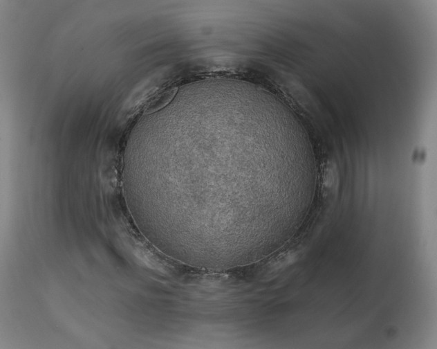 X0000111150916200906301334