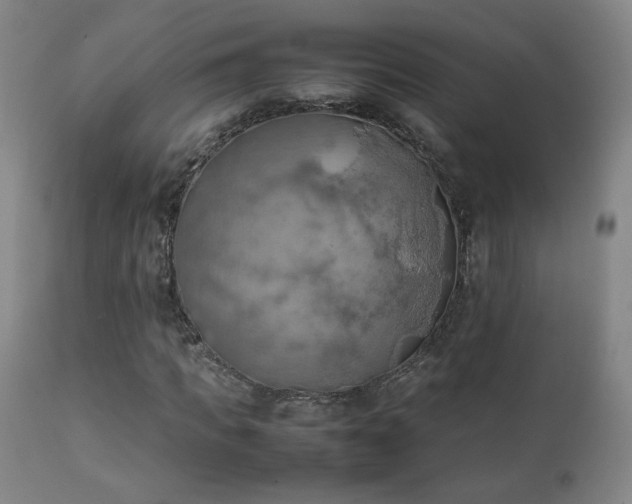 X0000111150917200906301334