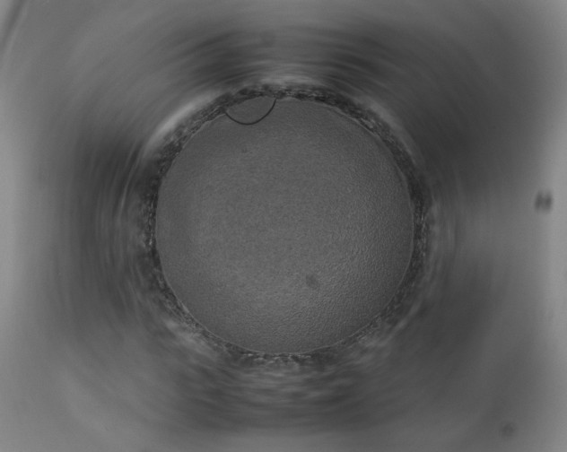 X0000111150919200906301334