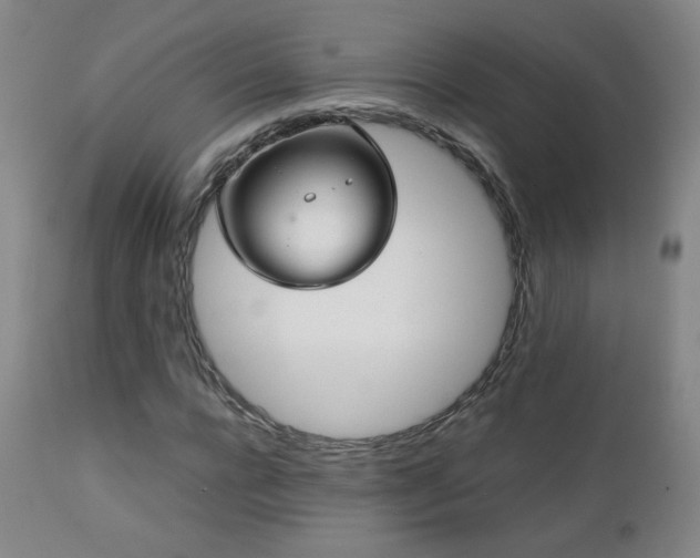 X0000111150920200906301334