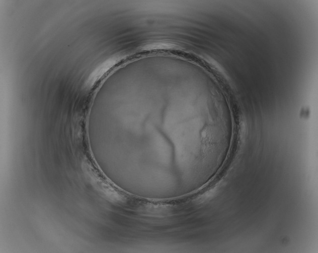 X0000111150921200906301334