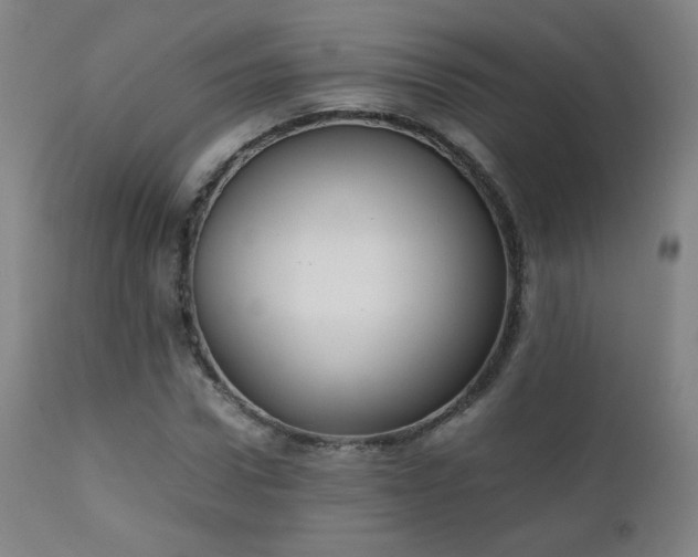 X0000111150922200906301334