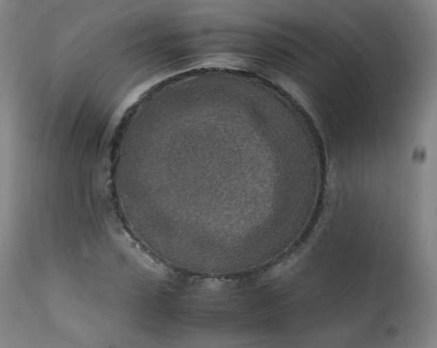 X0000111150923200906301334