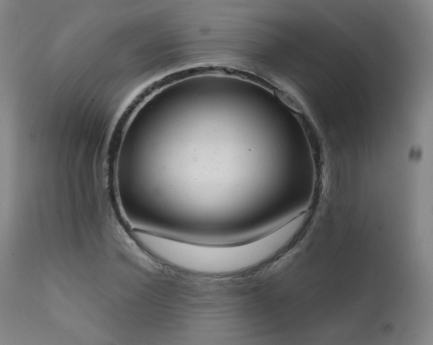 X0000111150924200906301334
