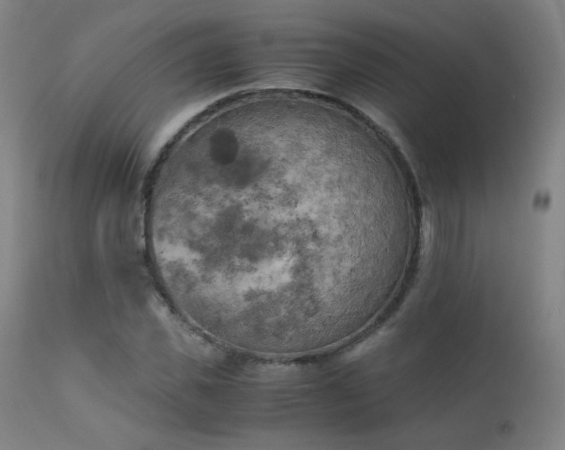 X0000111150925200906301334