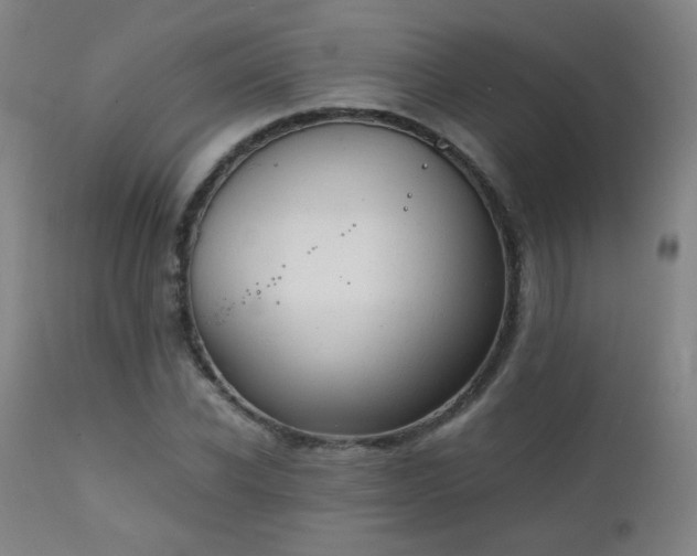 X0000111150926200906301334
