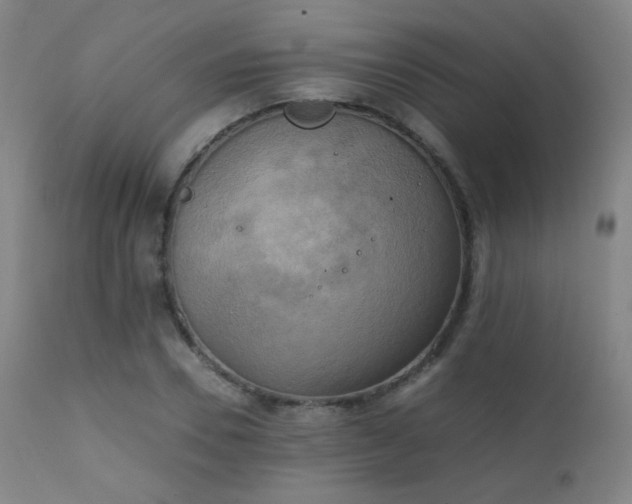 X0000111150930200906301334
