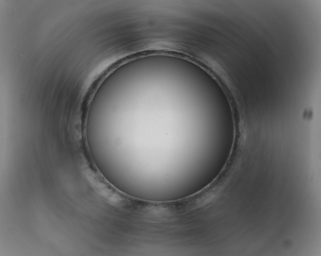 X0000111150931200906301334