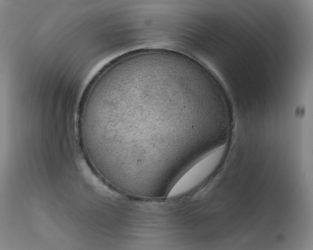 X0000111150932200906301334