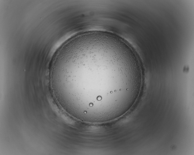 X0000111150933200906301334