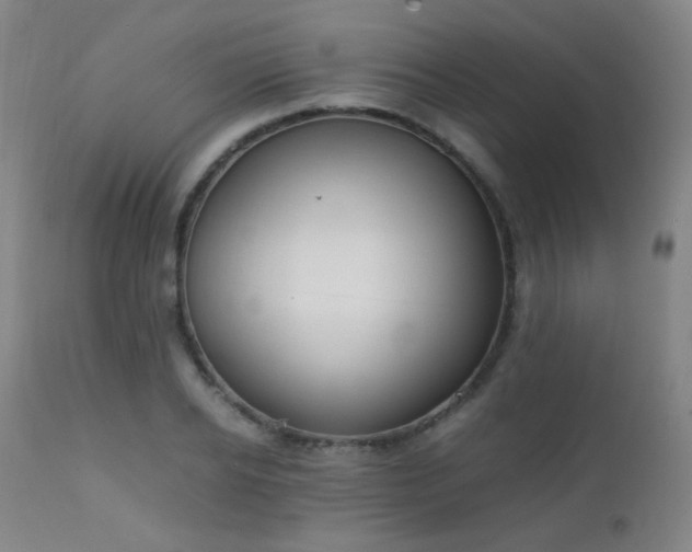 X0000111150934200906301334