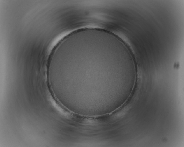 X0000111150935200906301334