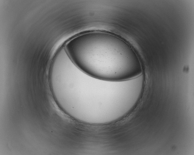 X0000111150936200906301334