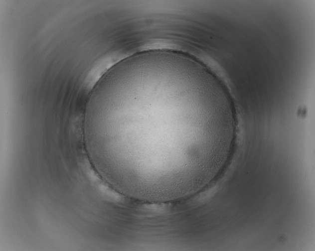 X0000111150937200906301334
