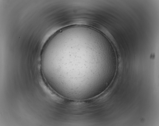 X0000111150939200906301334