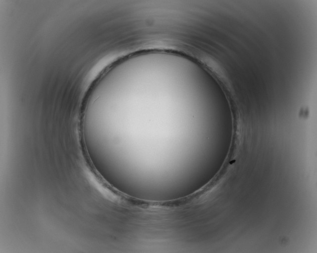 X0000111150942200906301334