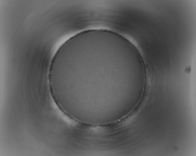 X0000111150943200906301334
