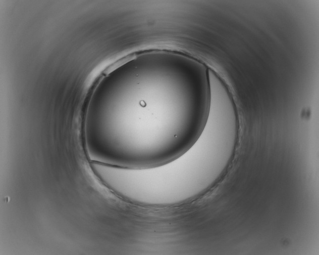 X0000111150944200906301334