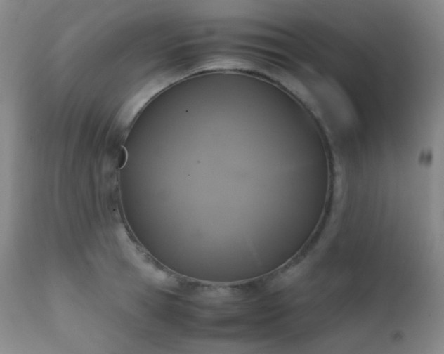 X0000111150945200906301334
