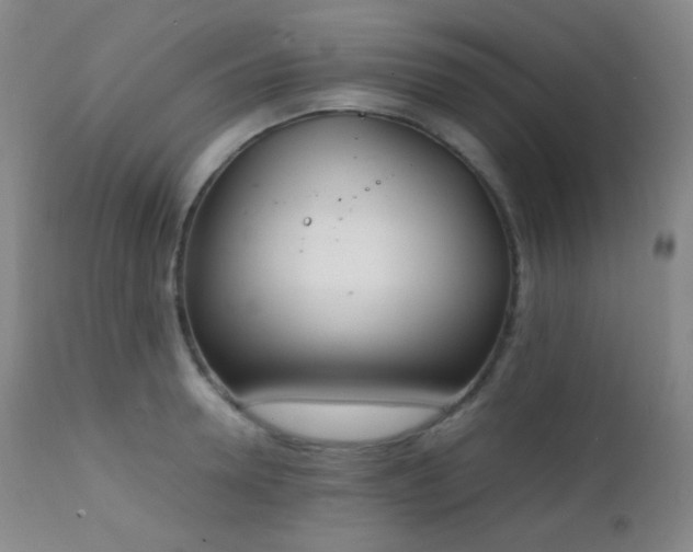 X0000111150946200906301334